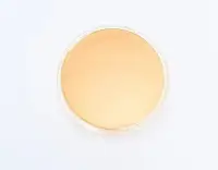 Чашки Петри БГКП (среда Агар МакКонки) BGR-CP-003 БИОКОНТРОЛЬ