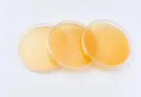 Чашки Петри Lactobacillus spp. (среда MRS Агар, ТВИН 80) BGR-CP-008 БИОКОНТРОЛЬ