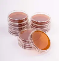 Контактные чашки Lactobacillus spp. (среда MRS Агар, ТВИН 80) BGR-CC-008 БИОКОНТРОЛЬ