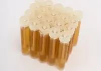 Жидкие тест-системы Streptococcus (среда для выделения стрептококков) BGR-LT-007 уп. 20 шт БИОКОНТРОЛЬ