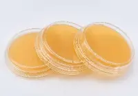 Контактные чашки Молочнокислые стрептококки (среда агар М17) BGR-CC-019 БИОКОНТРОЛЬ