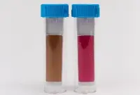 Дип-слайды БГКП/Грибки, дрожжи, плесень (Агар МакКонки/Агар Сабуро, Rose Bengal, Хлорамфеникол) BGR-DS-026 Биоконтроль, уп. 10 шт